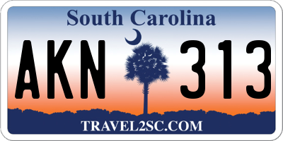 SC license plate AKN313