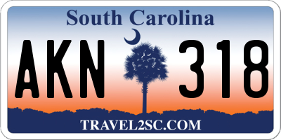 SC license plate AKN318