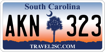 SC license plate AKN323