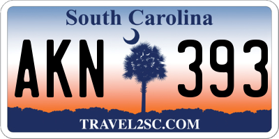 SC license plate AKN393