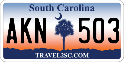SC license plate AKN503