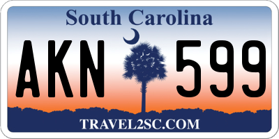 SC license plate AKN599