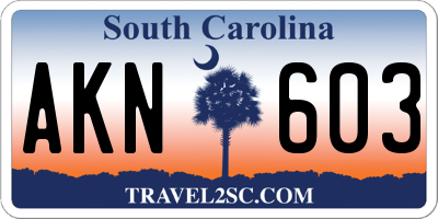 SC license plate AKN603
