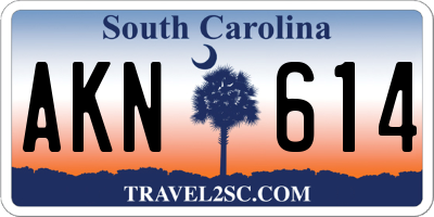 SC license plate AKN614