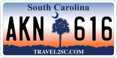 SC license plate AKN616
