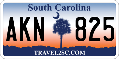 SC license plate AKN825