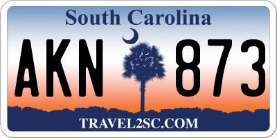 SC license plate AKN873