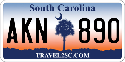 SC license plate AKN890