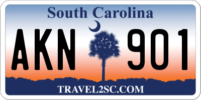 SC license plate AKN901