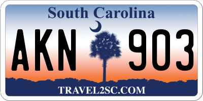 SC license plate AKN903