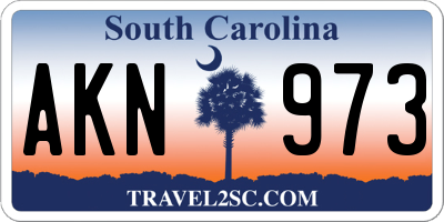 SC license plate AKN973