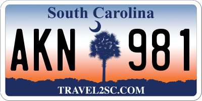 SC license plate AKN981