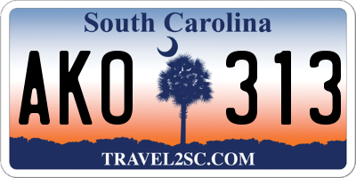 SC license plate AKO313