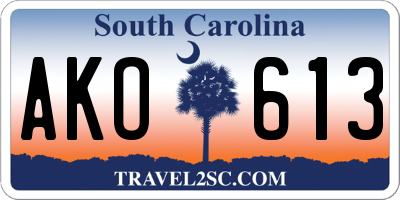 SC license plate AKO613