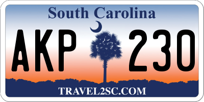 SC license plate AKP230
