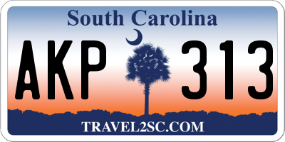 SC license plate AKP313