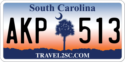 SC license plate AKP513
