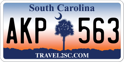 SC license plate AKP563