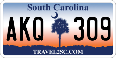 SC license plate AKQ309