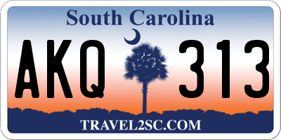 SC license plate AKQ313