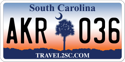 SC license plate AKR036