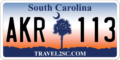 SC license plate AKR113