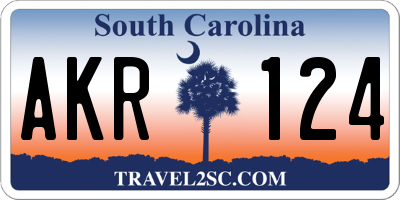 SC license plate AKR124