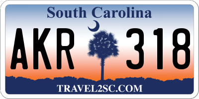 SC license plate AKR318