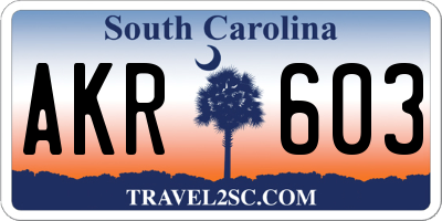 SC license plate AKR603