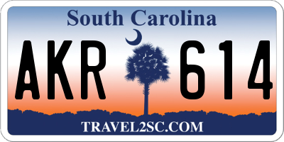 SC license plate AKR614