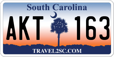 SC license plate AKT163