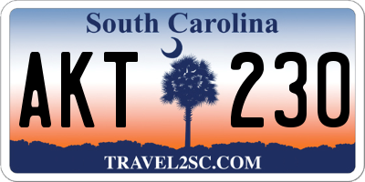 SC license plate AKT230