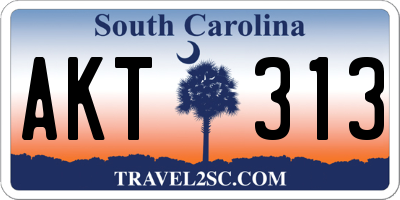 SC license plate AKT313