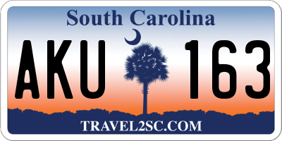 SC license plate AKU163