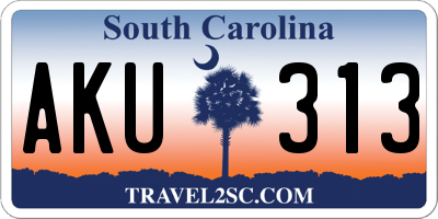 SC license plate AKU313