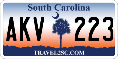 SC license plate AKV223