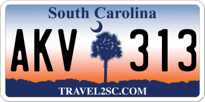 SC license plate AKV313