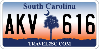 SC license plate AKV616