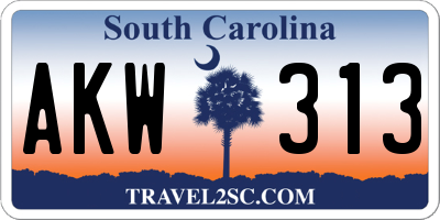 SC license plate AKW313