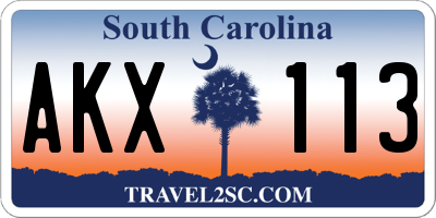 SC license plate AKX113