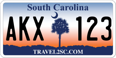SC license plate AKX123