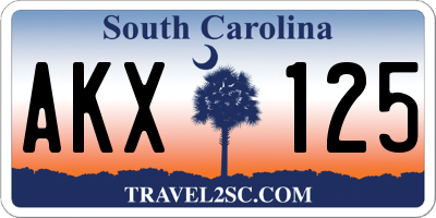 SC license plate AKX125