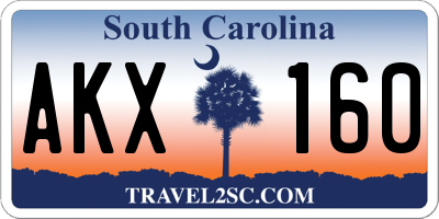 SC license plate AKX160