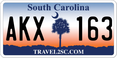 SC license plate AKX163