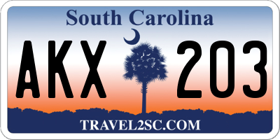 SC license plate AKX203