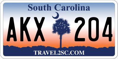 SC license plate AKX204