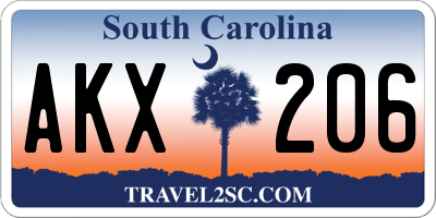 SC license plate AKX206