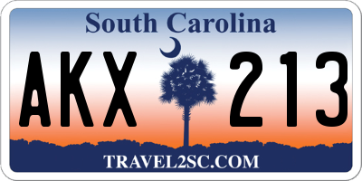 SC license plate AKX213