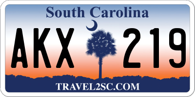 SC license plate AKX219