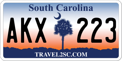 SC license plate AKX223
